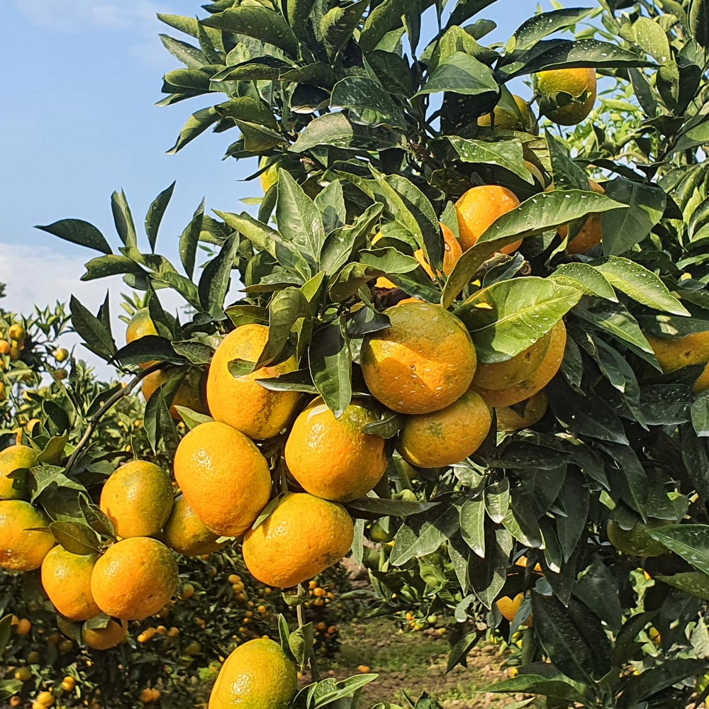 1733890800 thumbnail