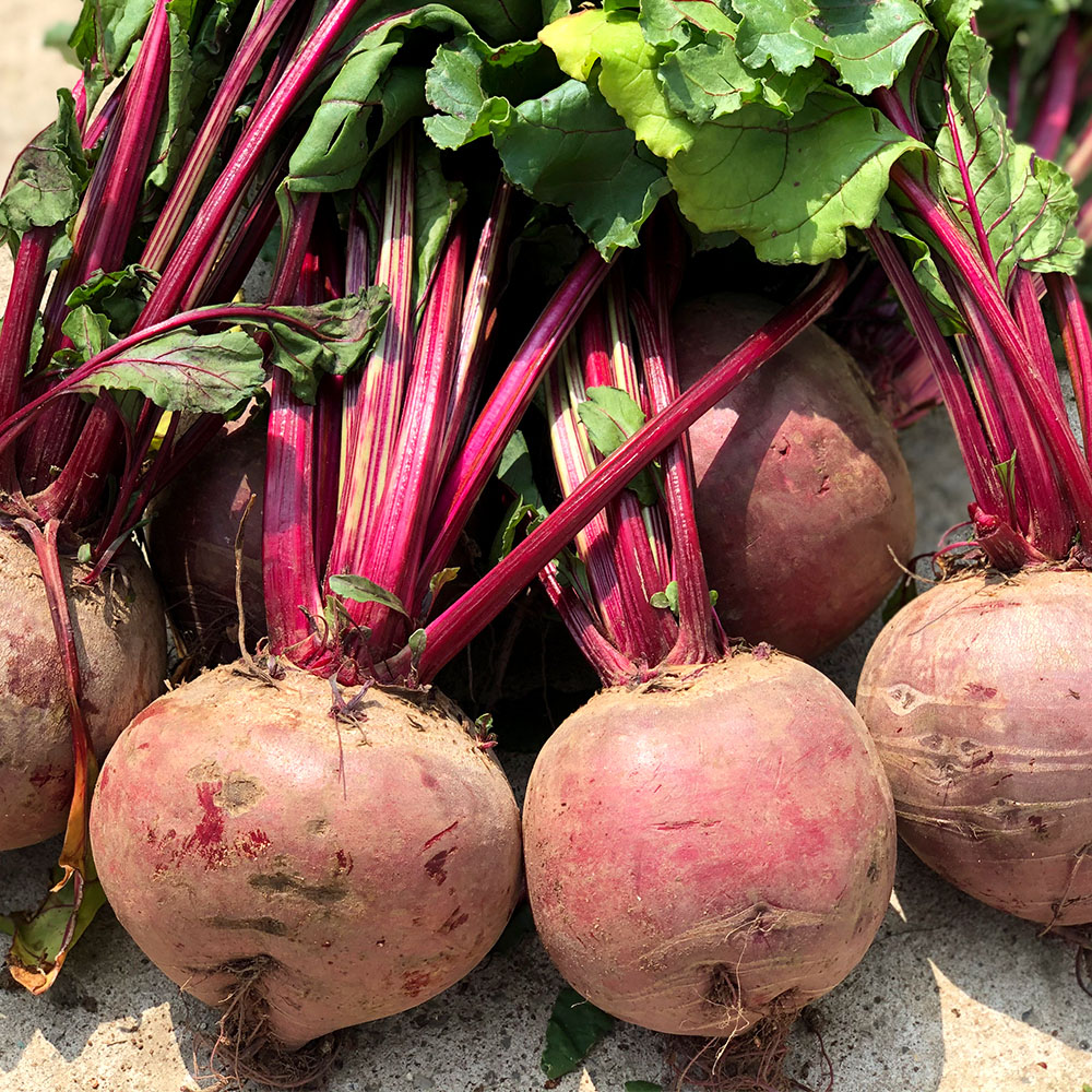 1733991753 thumbnail