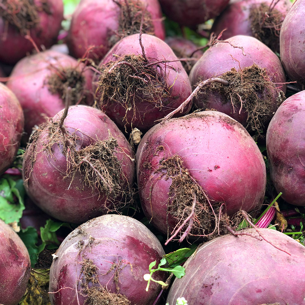 1733991754 thumbnail