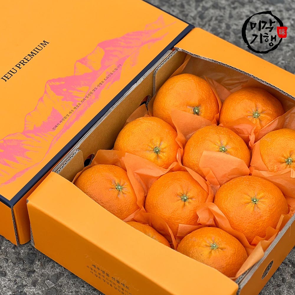 1734066244 thumbnail