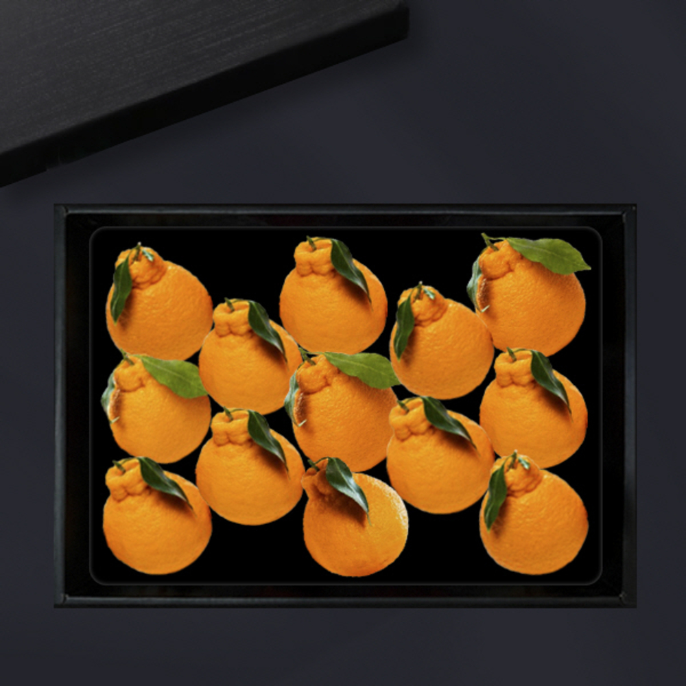 1734312430 thumbnail