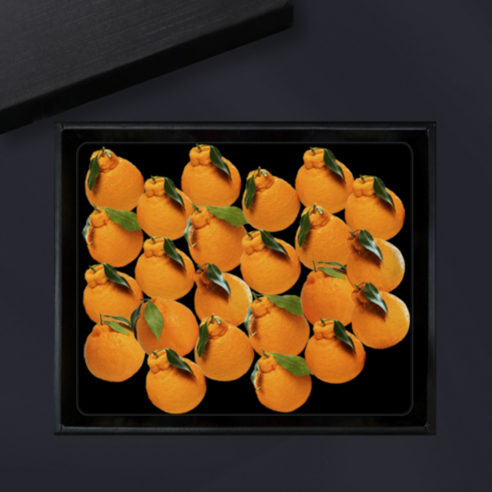 1734312431 thumbnail