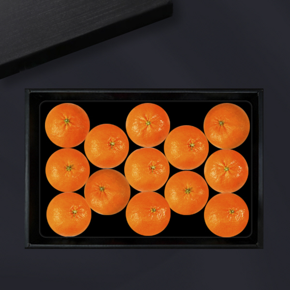 1734312432 thumbnail