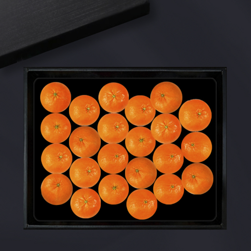 1734312433 thumbnail