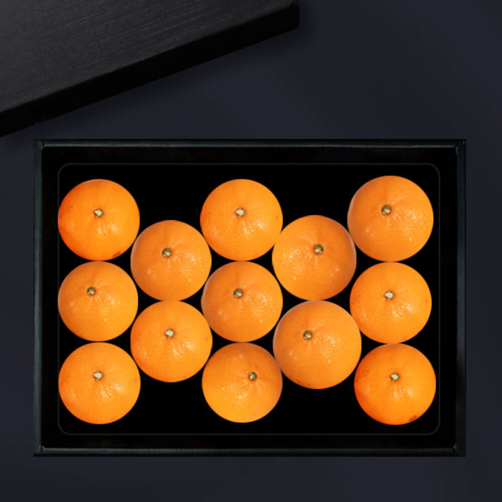 1734312434 thumbnail