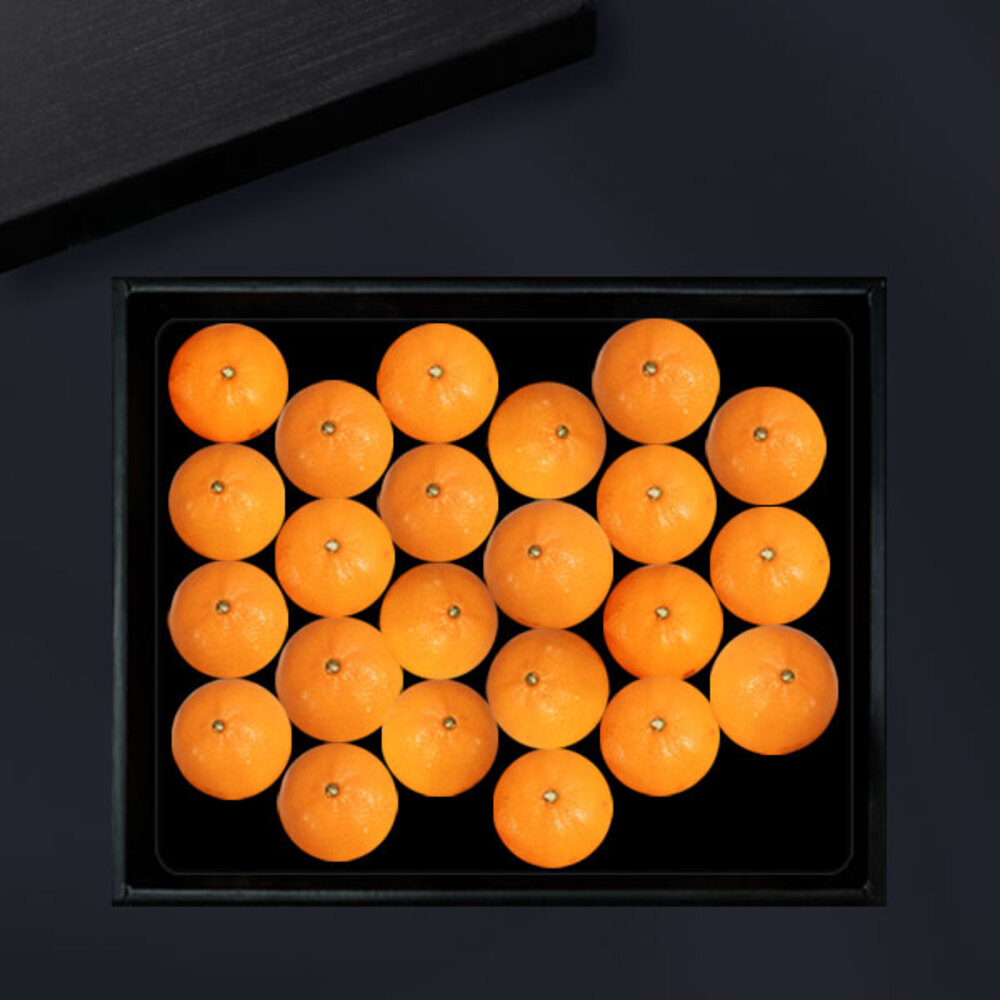 1734312435 thumbnail