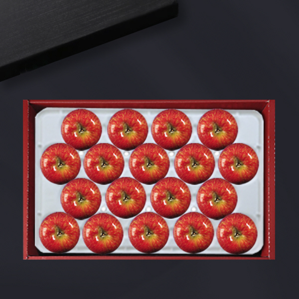 1734312436 thumbnail