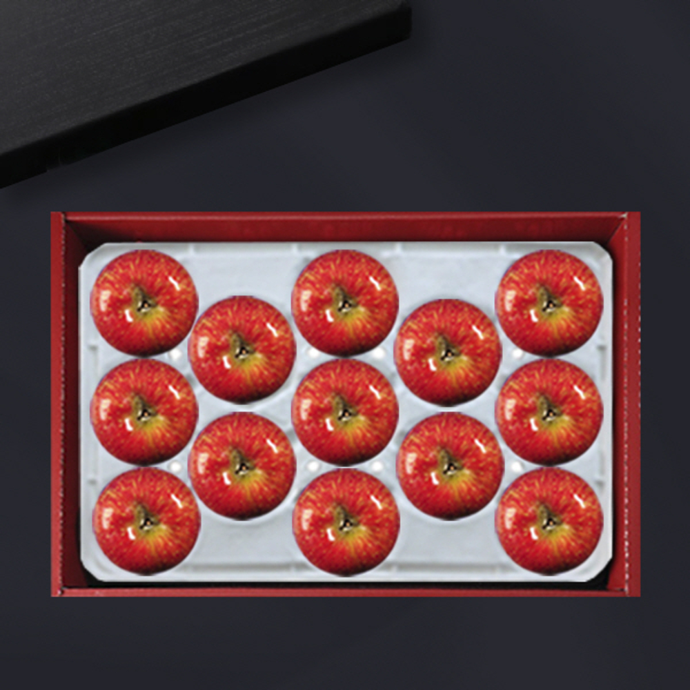 1734312438 thumbnail