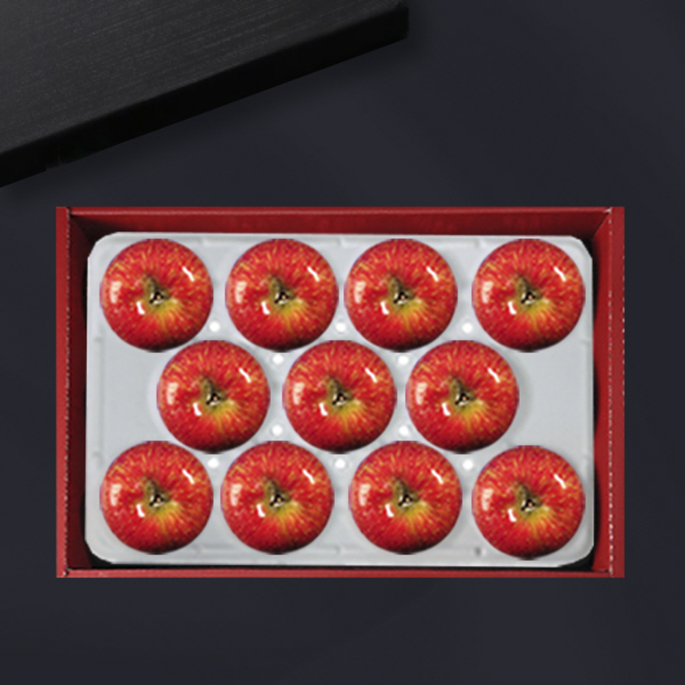 1734312439 thumbnail