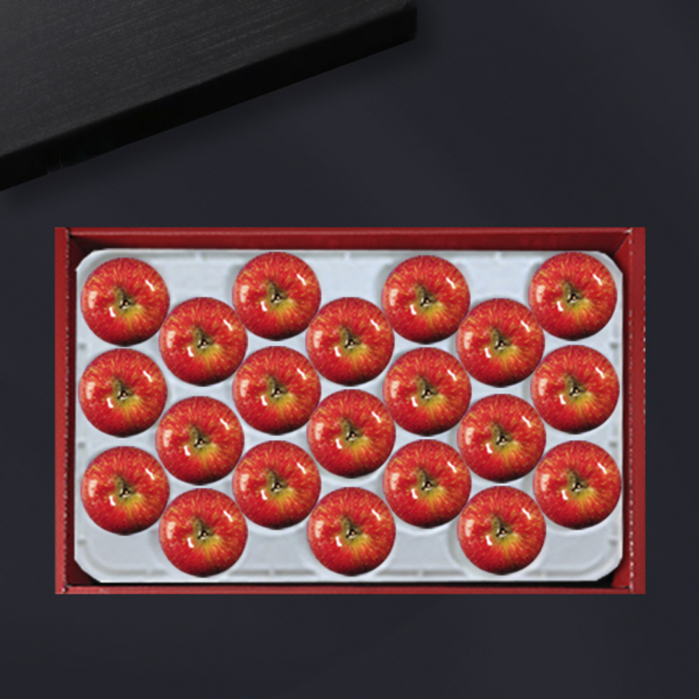 1734312440 thumbnail