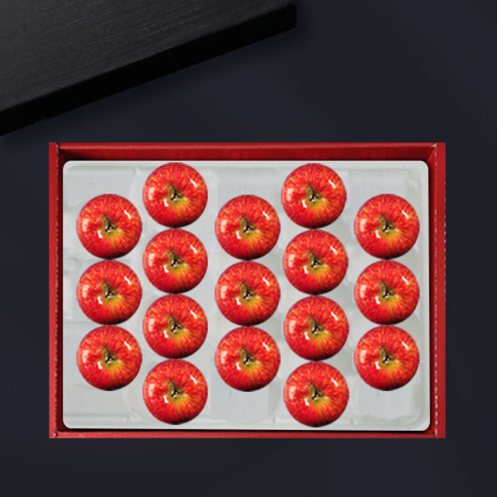 1734312441 thumbnail