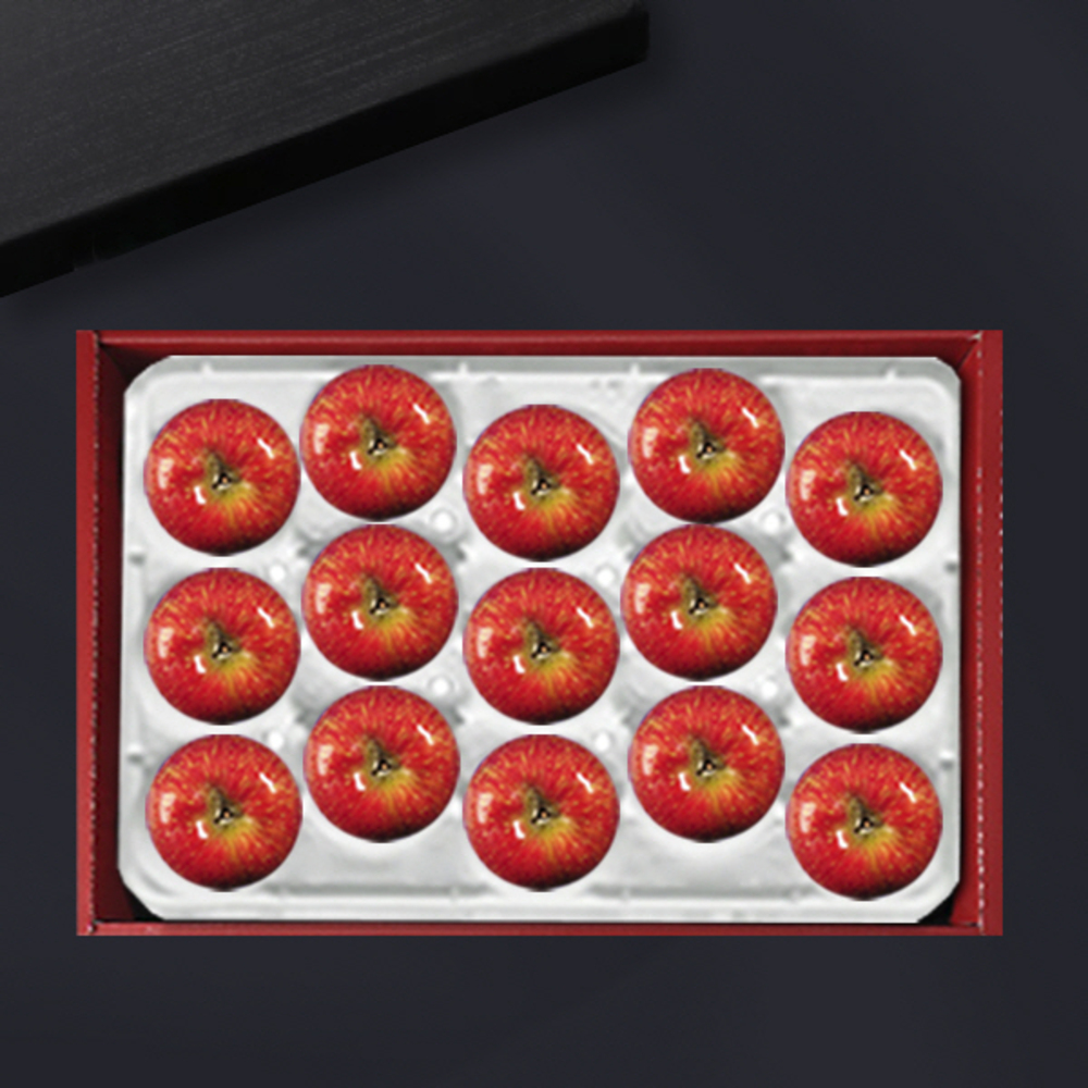 1734312442 thumbnail