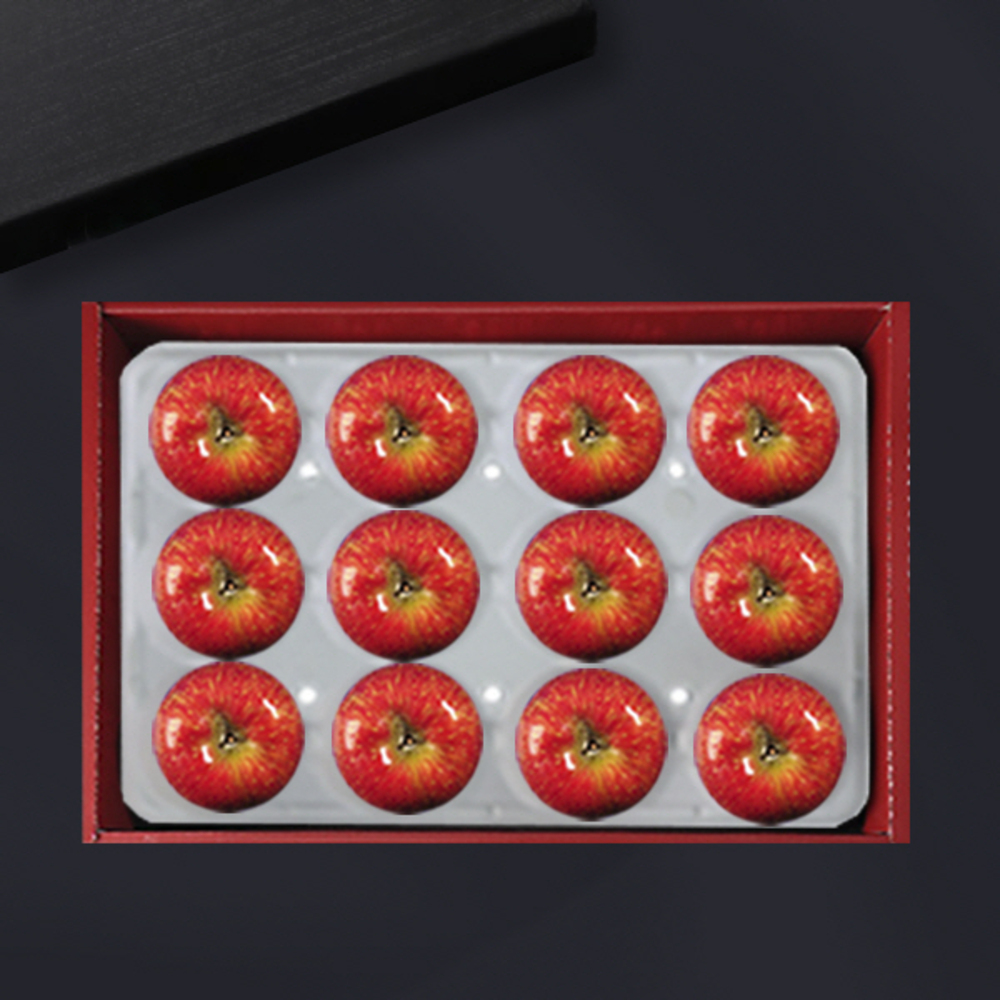 1734312444 thumbnail