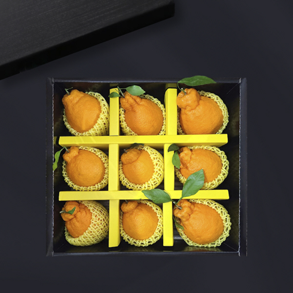 1734312454 thumbnail