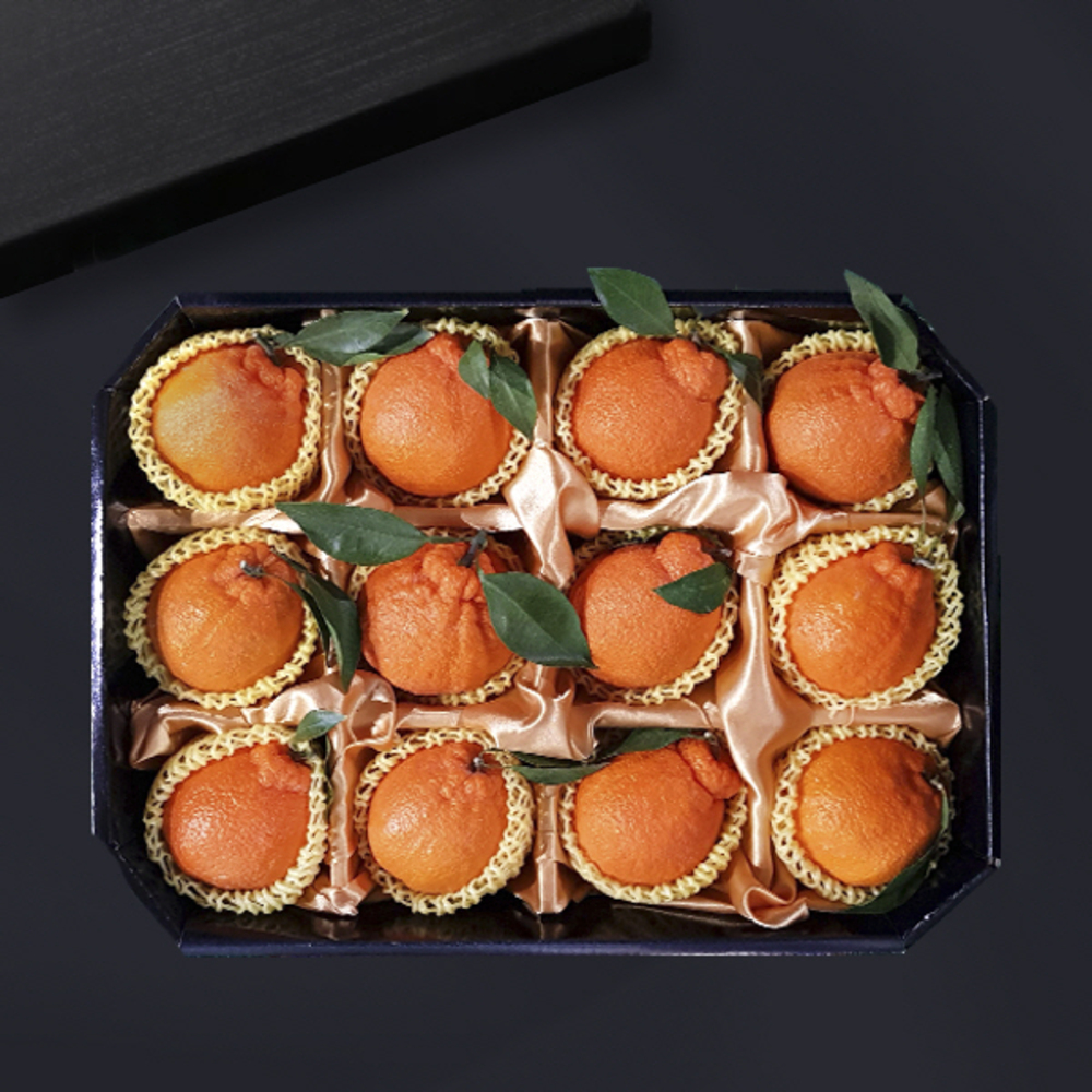 1734312455 thumbnail