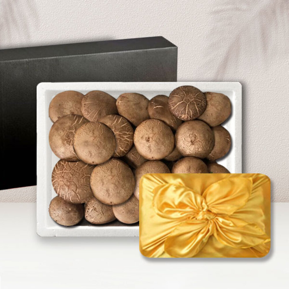 1734328867 thumbnail