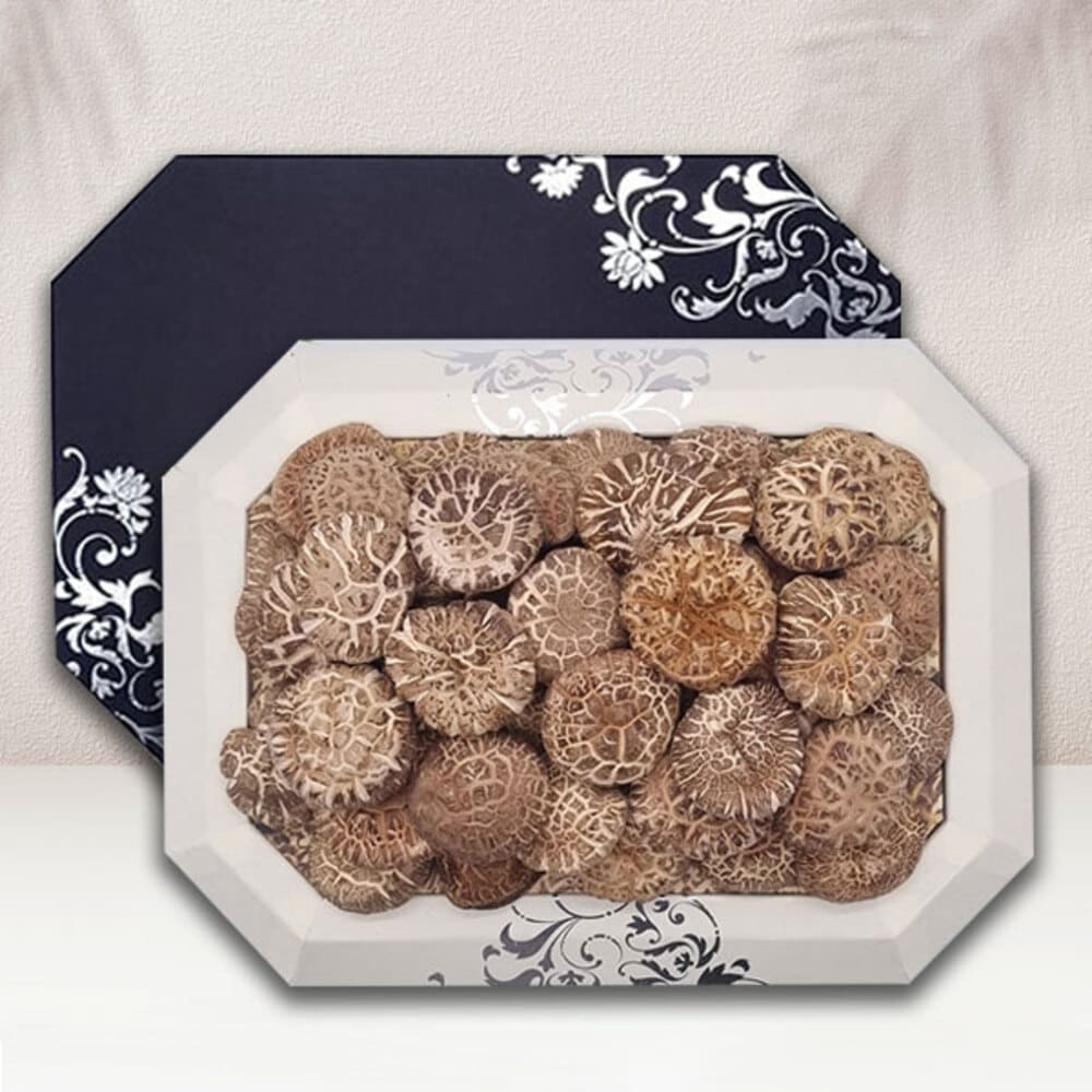 1734328876 thumbnail