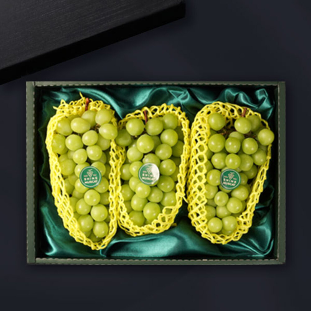 1734328920 thumbnail