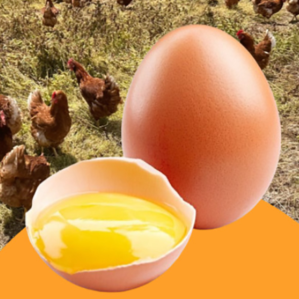 1734338839 thumbnail