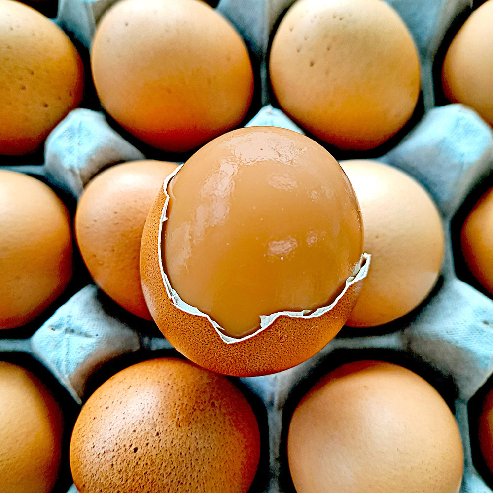 1734338850 thumbnail