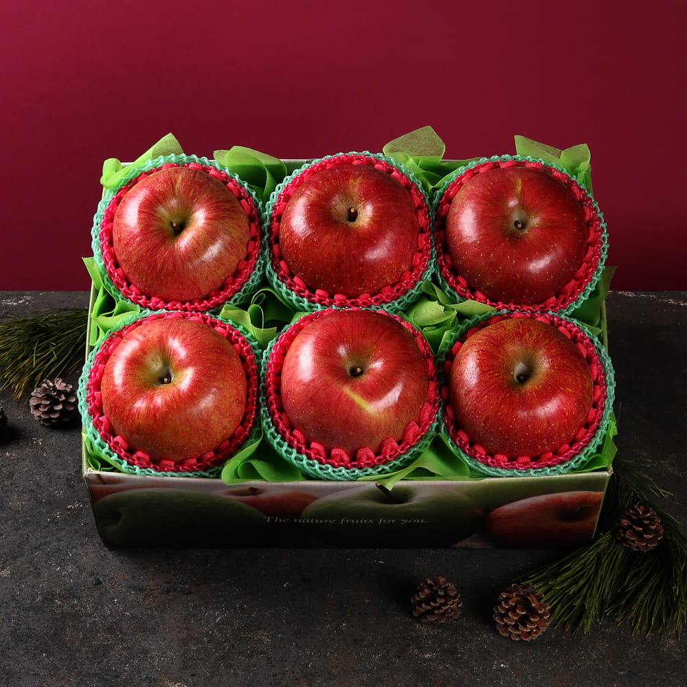 1734403254 thumbnail