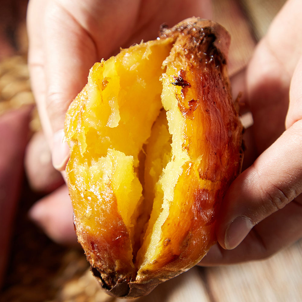 1734496196 thumbnail