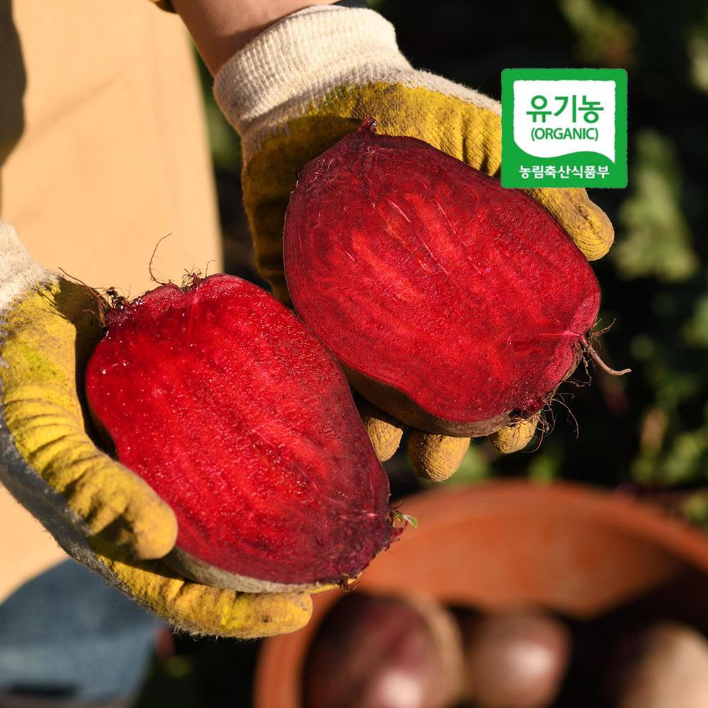 1734511521 thumbnail