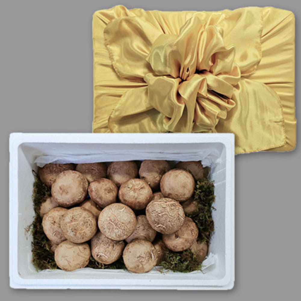 1734926996 thumbnail