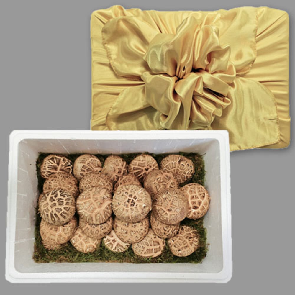 1734927005 thumbnail