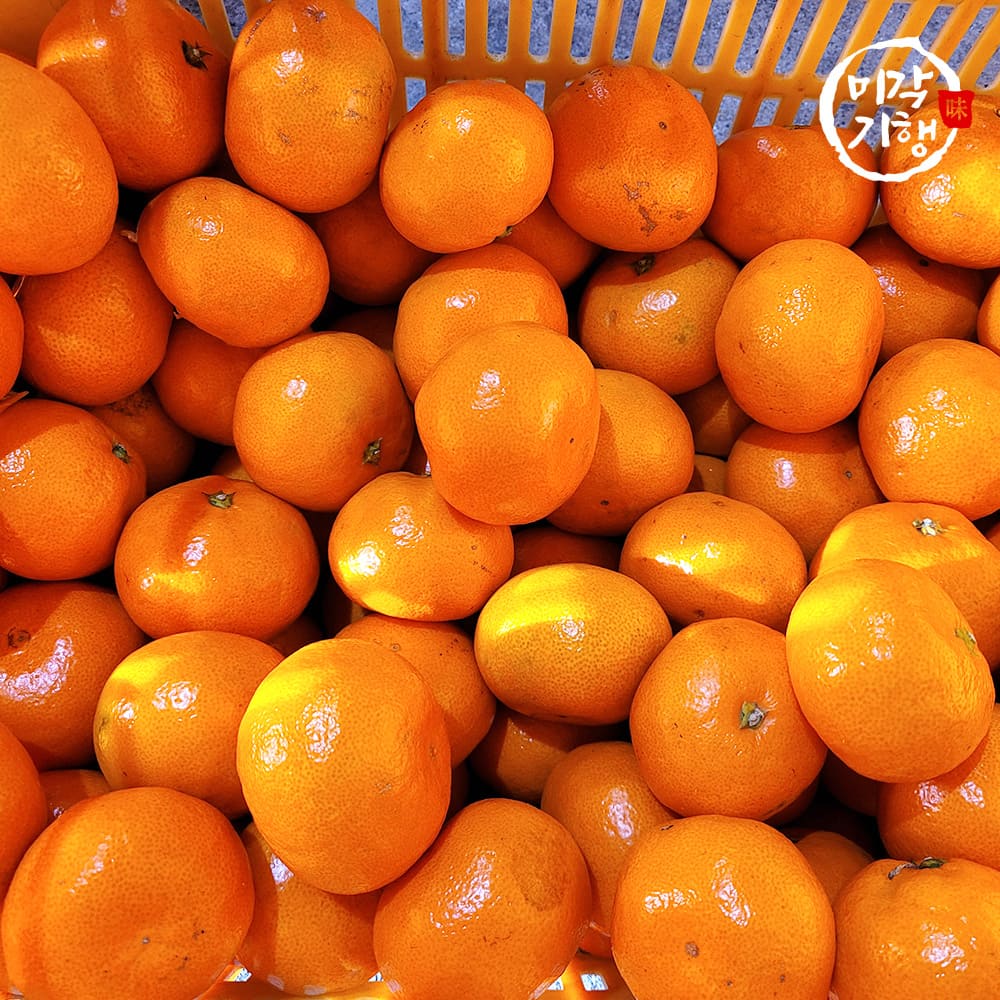 1734941809 thumbnail