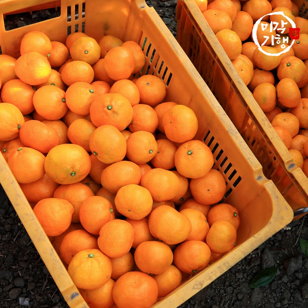 1734941810 thumbnail