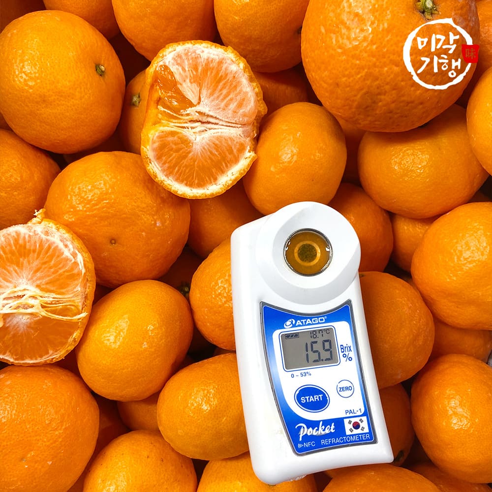 1734941812 thumbnail