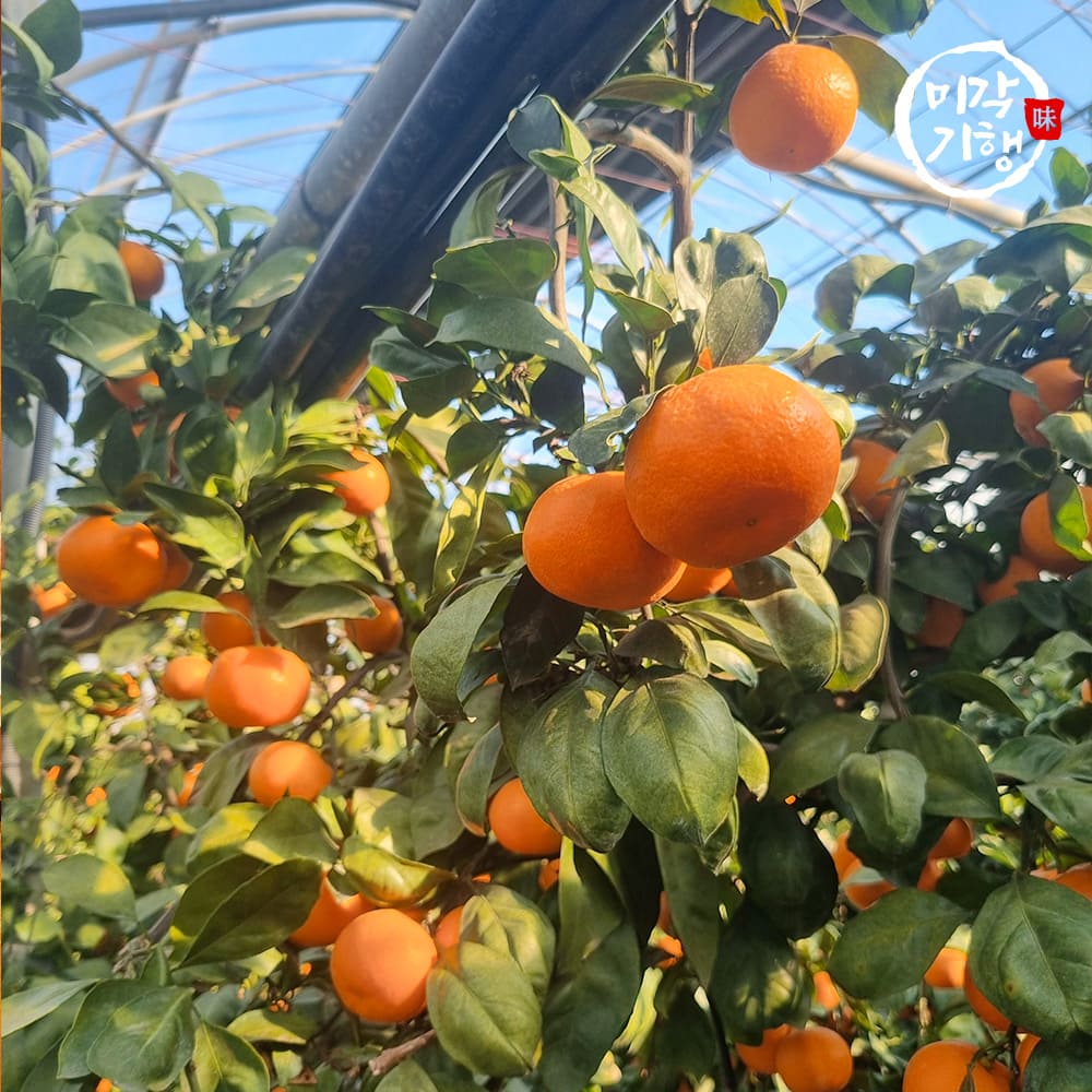 1734941813 thumbnail