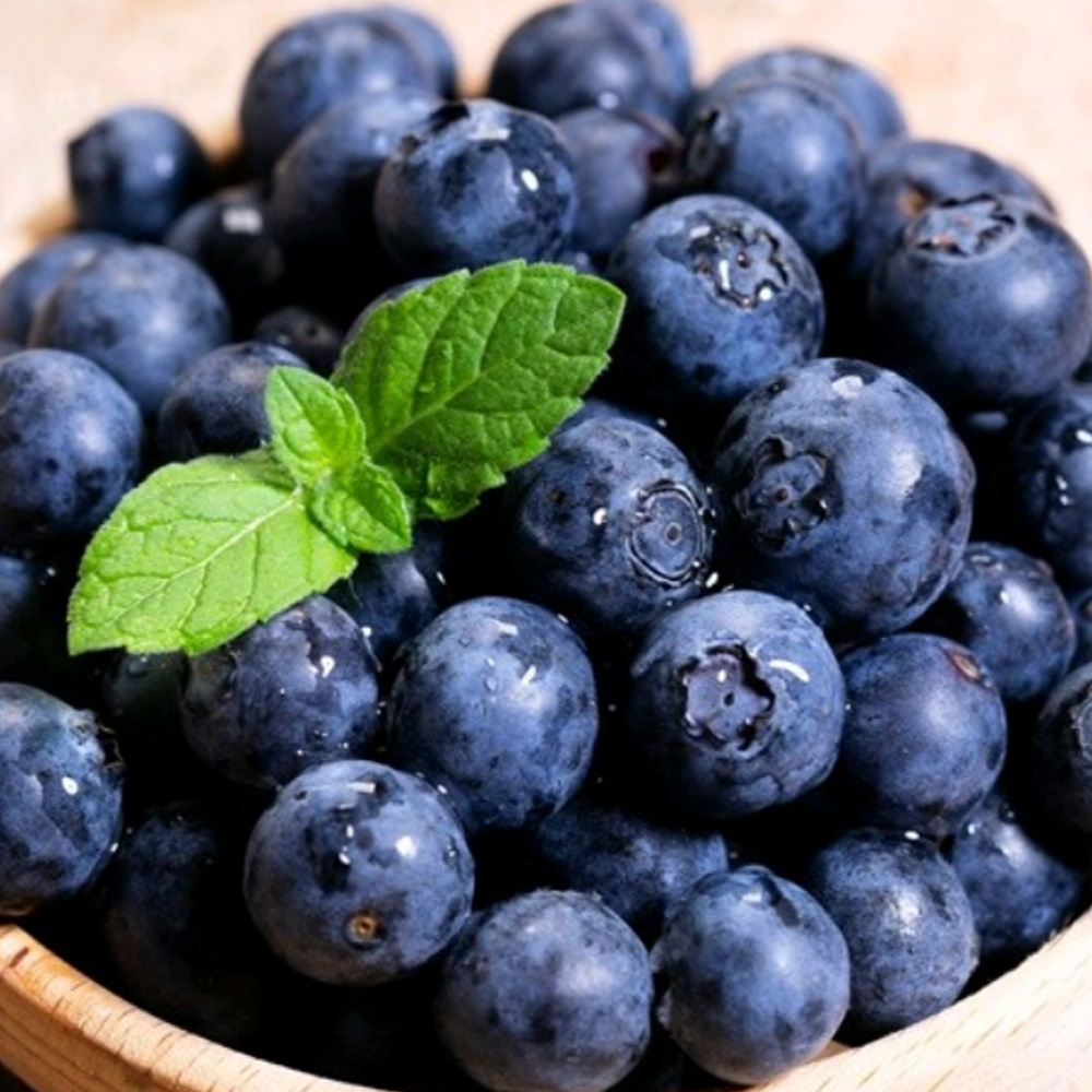 1735192681 thumbnail