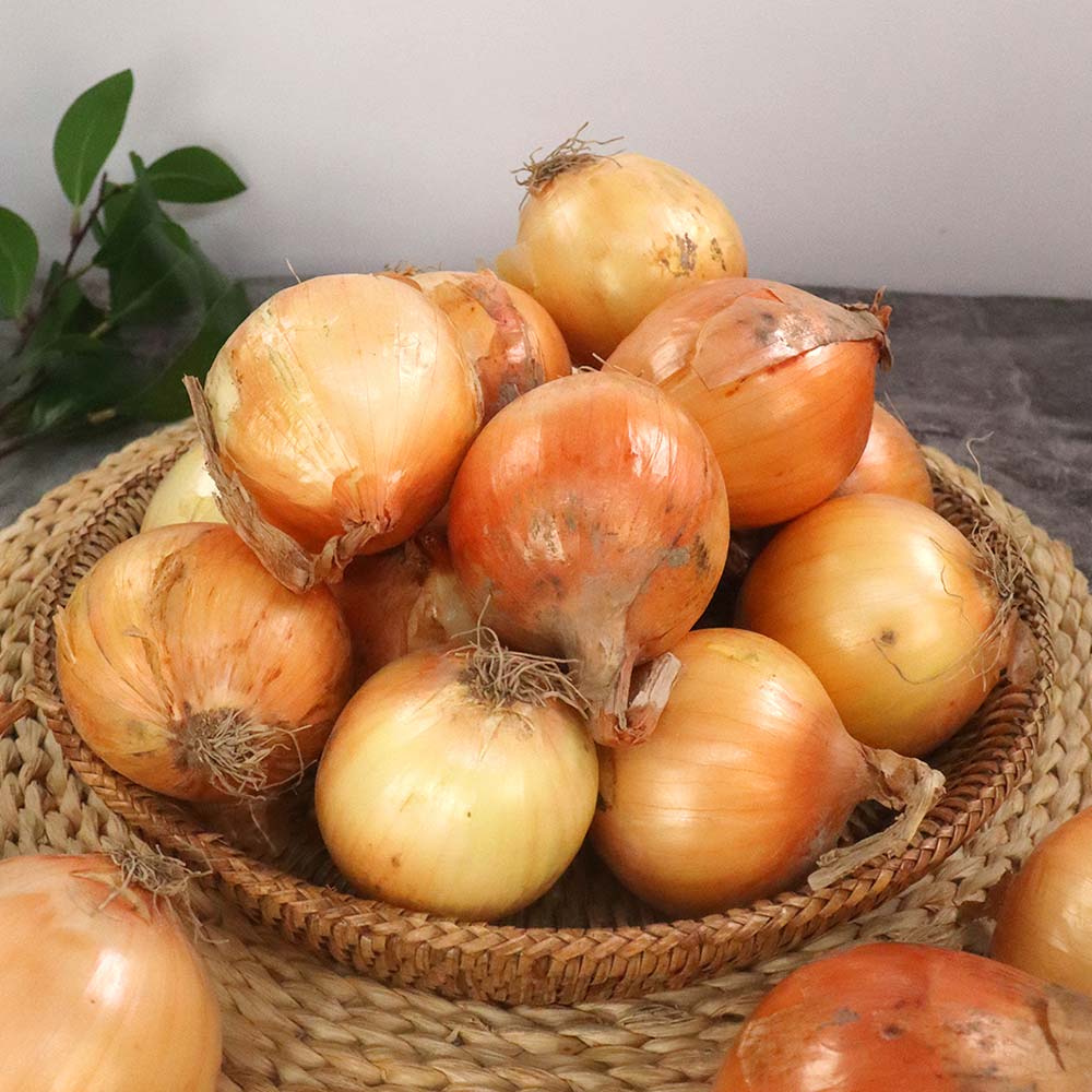 1735274543 thumbnail