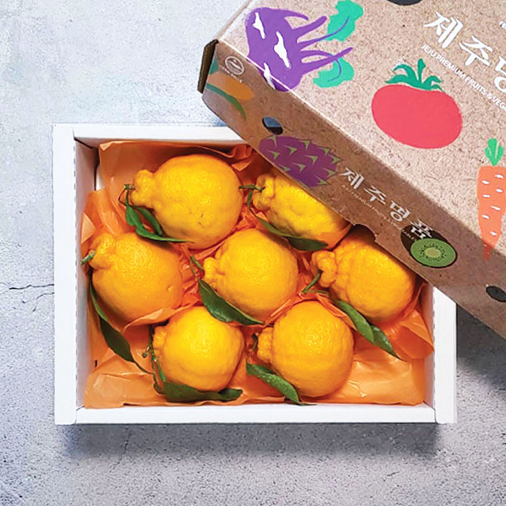 1736212121 thumbnail