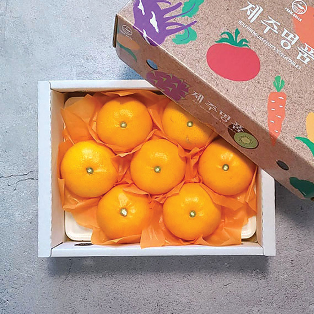 1736212130 thumbnail