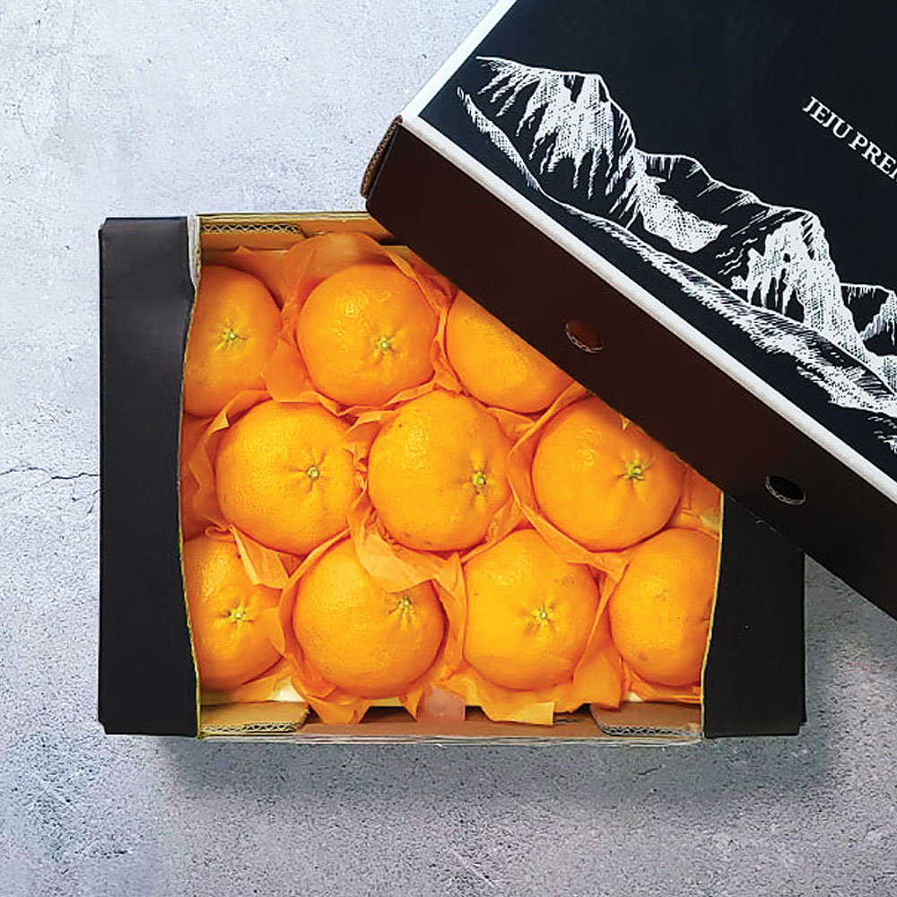 1736212134 thumbnail