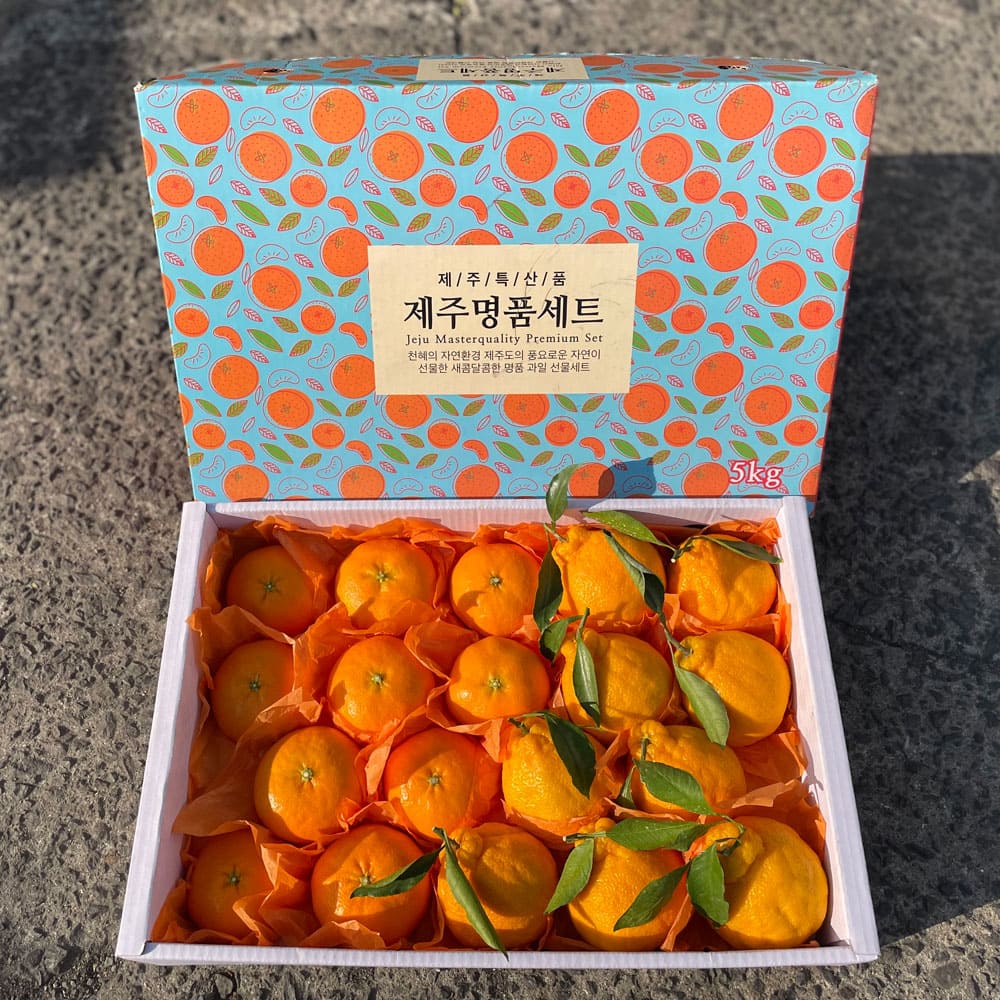 1736212151 thumbnail