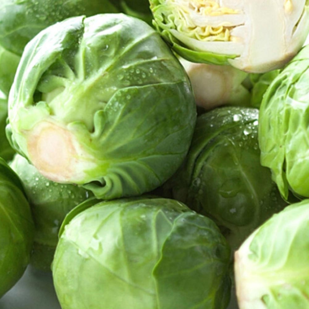 1736232561 thumbnail