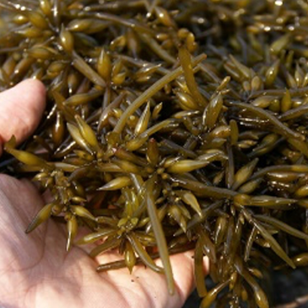 1736232565 thumbnail