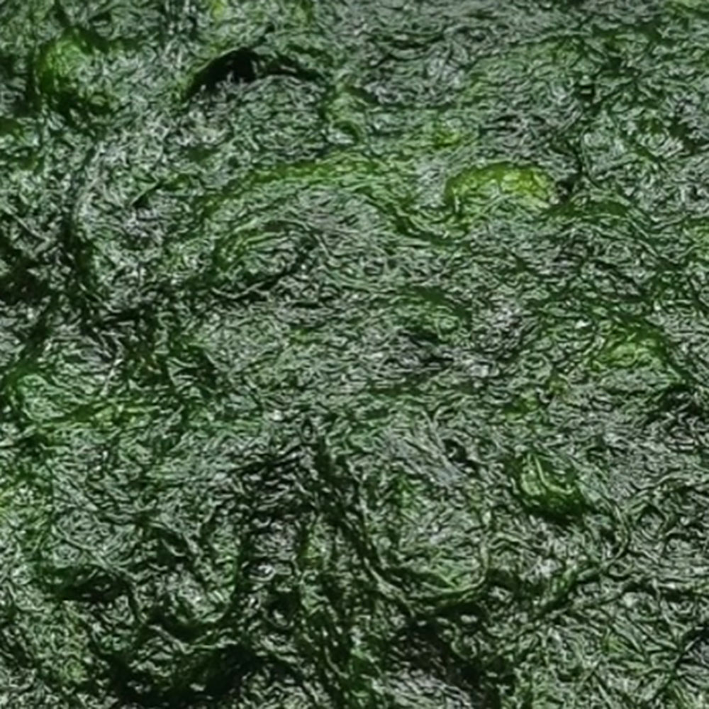 1736484309 thumbnail