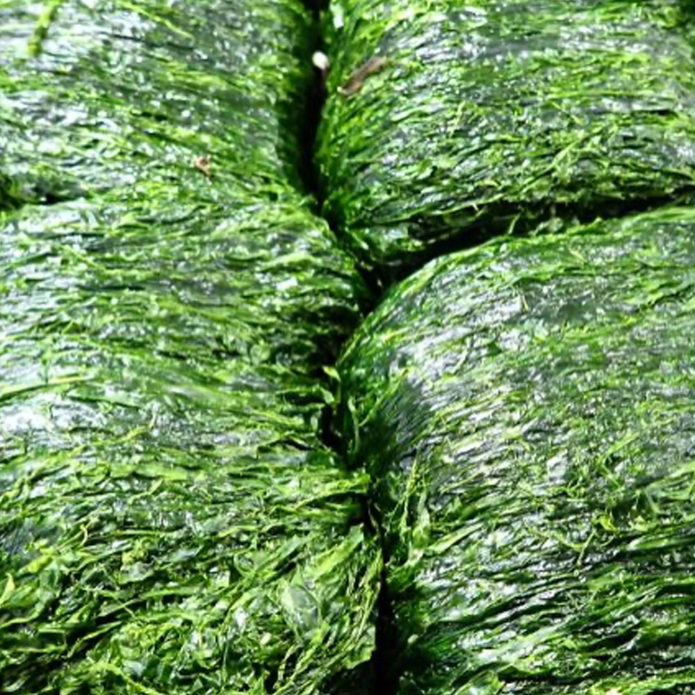 1736484312 thumbnail