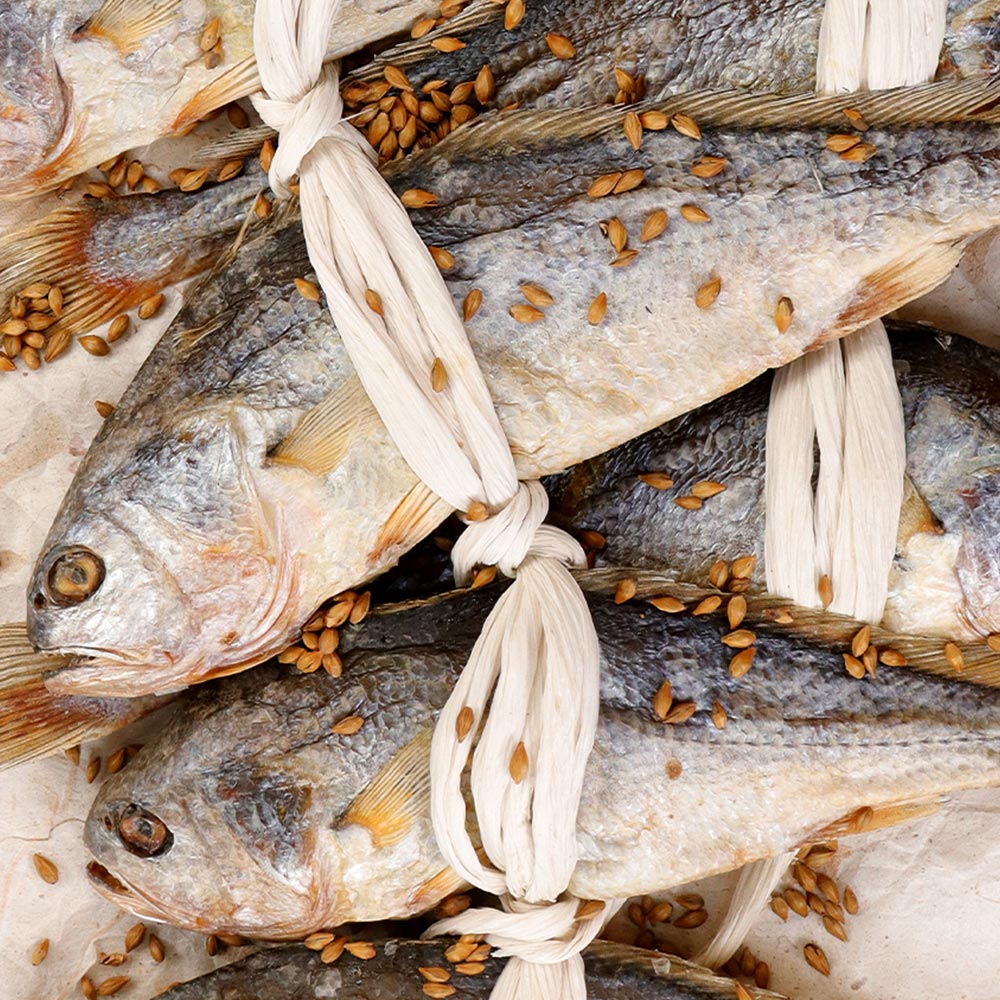 1736823477 thumbnail