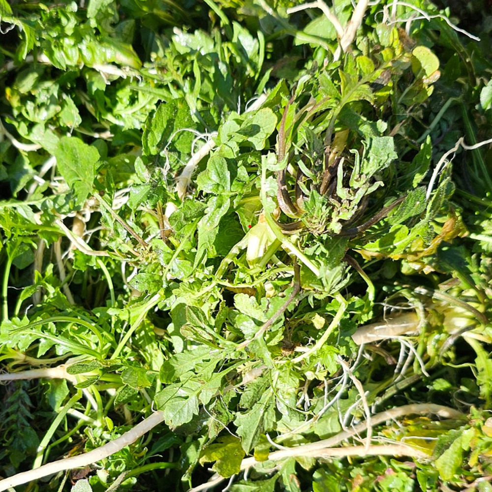 1738550454 thumbnail