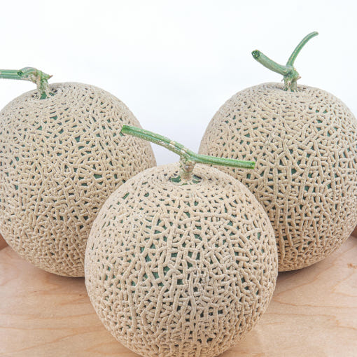 1738645626 thumbnail