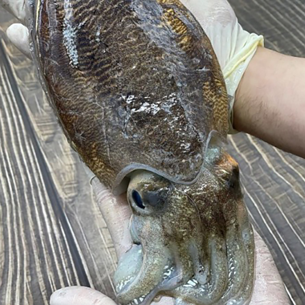 1738831388 thumbnail