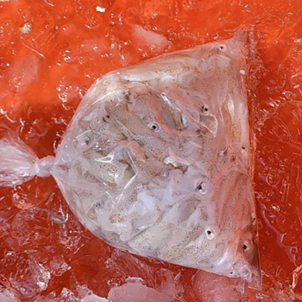 1738831389 thumbnail