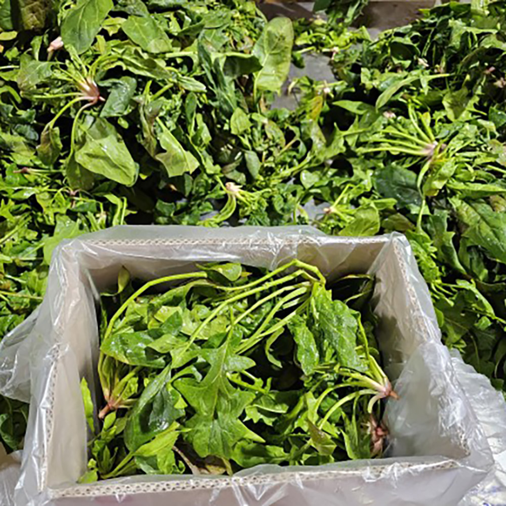 1738894540 thumbnail