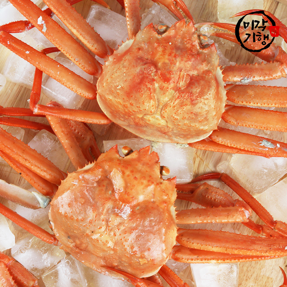 1739164737 thumbnail